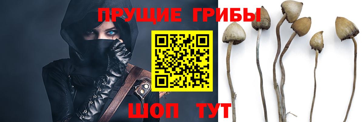 Галлюциногенные грибы мицелий  Вход с VPN  Асбест 